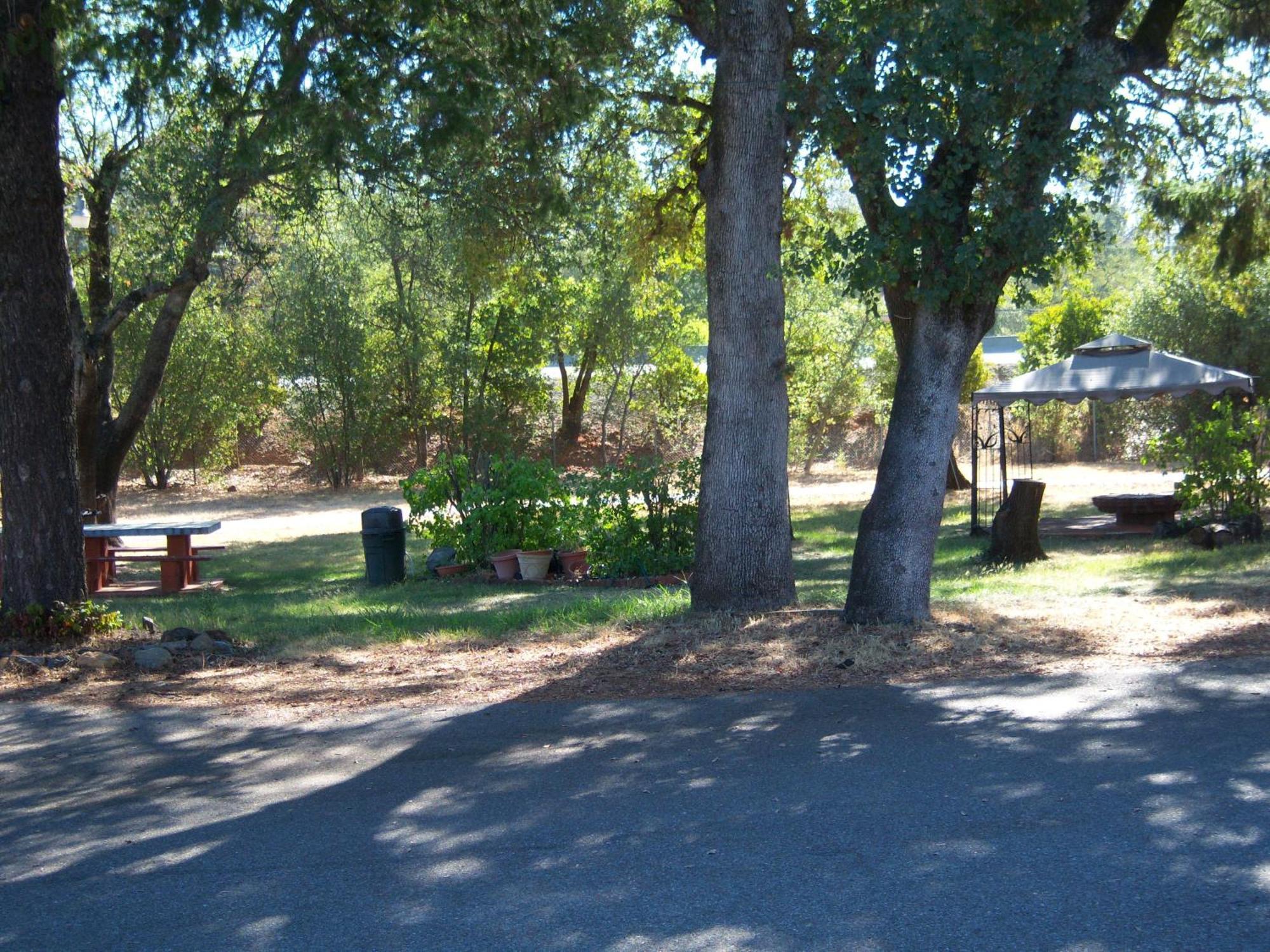 Shasta Dam Motel Shasta Lake Dış mekan fotoğraf